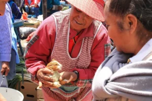 A market vendor in a red apron and sun hat holding a small brown and white guinea pig at an outdoor Ecuadorian market.