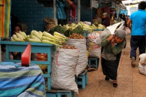 An Ecuadorian woman carrying a large white sack of produce over her shoulder past stalls of corn and potatoes in a market.
