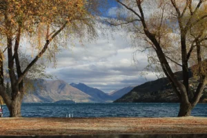 Queenstown Bay Beach