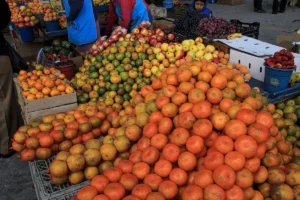 Piles of bright oranges and mesh bags of citrus fruit at an outdoor agricultural market