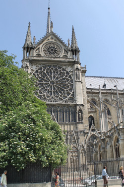 The north rose window Notre-Dame de Paris