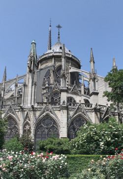 The flying buttresses of the Apse. Notre-Dame de Paris