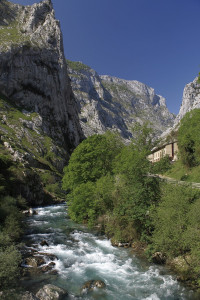 A fast-flowing river, it cuts its way through and cascades down the slopes of the Picos de Europa. Rio Cares