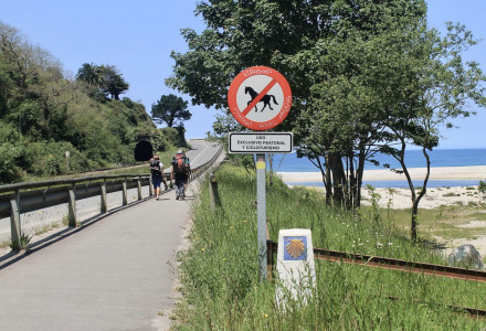 Trekkers along the Camino de Santiago (del Norte route). The Way