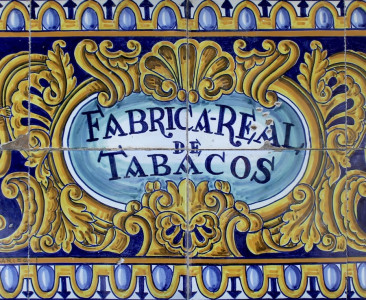 Universidad de Sevilla